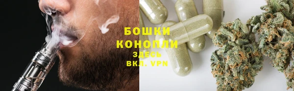 дурь Осинники