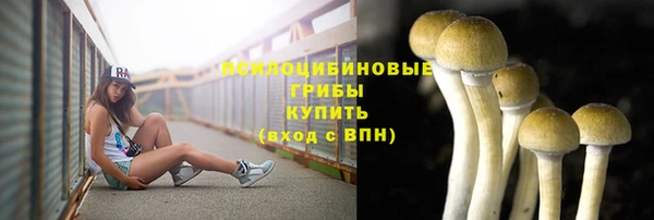 дурь Осинники
