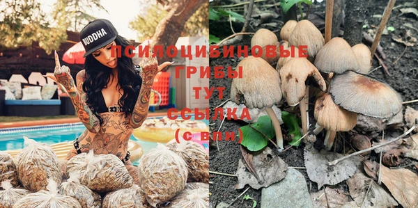 герыч Алексин